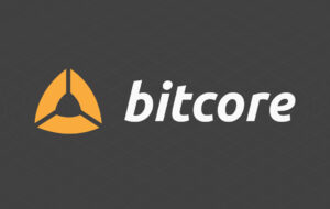 В полный узел биткоина Bitcore 5.0 от Bitpay добавлена поддержка всех имплементаций биткоина, даже форков