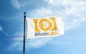 В дорожную карту Bitcoin Cash внесены 2 хард форка и ряд обновлений