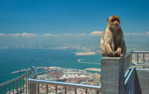 Гибралтар займётся лицензированием блокчейн-стартапов