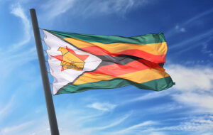 Резервный банк Зимбабве запретил финансовым учреждениям взаимодействовать с криптовалютами