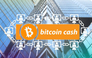 Один из старейших обозревателей блокчейна переименовывает Bitcoin Cash в биткоин