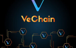 VeChain готовится сделать снимок блокчейна для назначения операторов X-нод