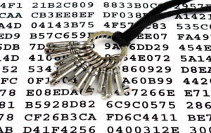Мошенник обворовывает держателей Ethereum, предоставляя им приватный ключ от кошелька с $5000