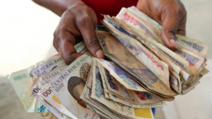 «Биткоин сделал нашу валюту бесполезной»: Сенат Нигерии выступил против запрета криптовалют