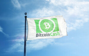 Исследование: Bitcoin Cash редко используется в платёжных транзакциях