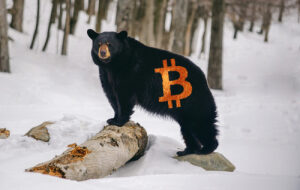 Медвежий сценарий: Почему биткоин может откатиться до $27 000, и что произойдет с альткоинами?