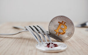 BitMEX создала инструмент для мониторинга форков в блокчейнах биткоина и Bitcoin Cash