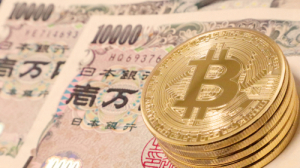 Японские биржи криптовалют подали заявку на создание саморегулируемой организации