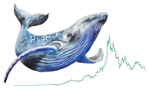 Крипто-киты нарастили свои активы в Ethereum на 80% с начала года