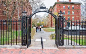 Гарвард вложит до $10 млн в Blockstack, ранние инвесторы которого могут приумножить средства в 2000 раз