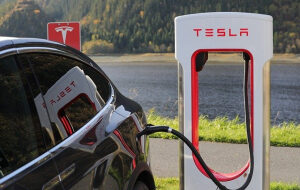 Tesla остановила прием платежей в биткоине из-за «крупной цены для экологии»