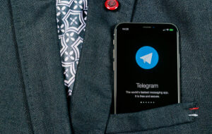 Правозащитники просят разграничить инвестиционный контракт и цифровой актив в деле Telegram