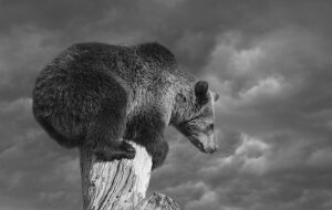 Аналитик: Капитуляция Ethereum может означать окончание медвежьего цикла биткоина