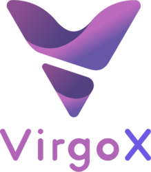 VirgoX Token