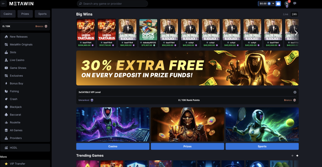 Metawin Casino Home Page
